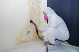 Best Industrial Mold Remediation  in Paradise, CA